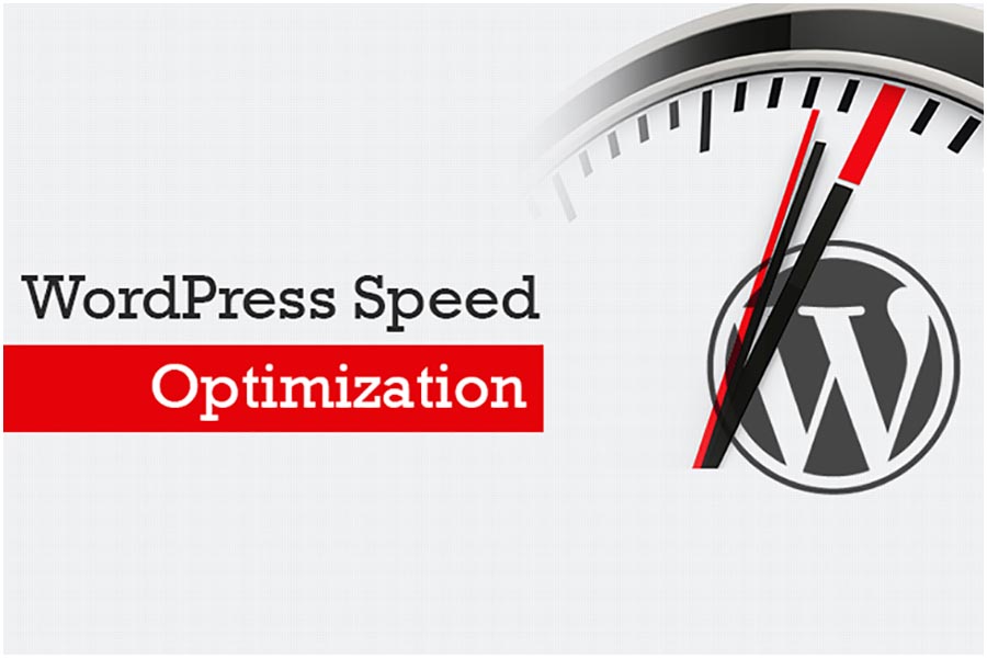 6 Steps to WordPress Speed Optimization with Free or Paid Plugins